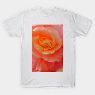 Rose close up T-Shirt